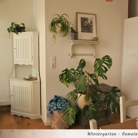 Gelbe Haus - Drei Besondere